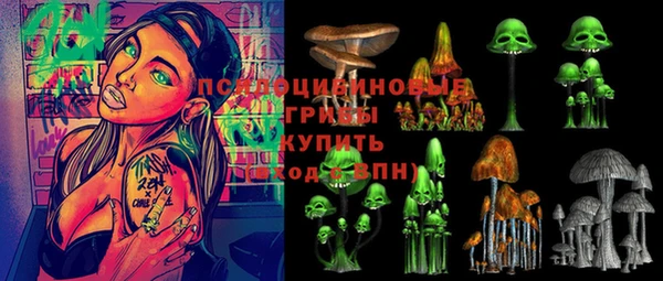 крисы Арсеньев
