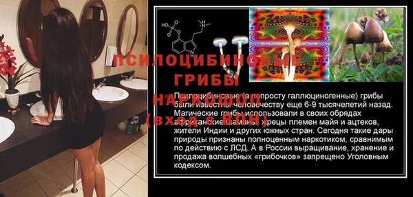 дмт Аркадак