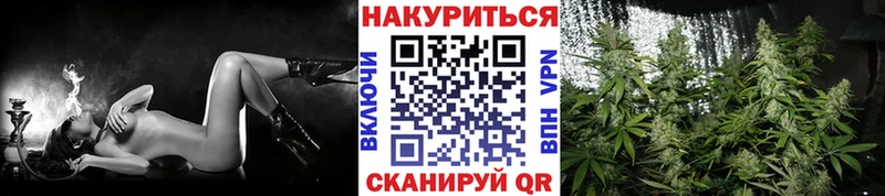 MEGA ссылка  Михайлов  Канабис MAZAR  наркошоп 